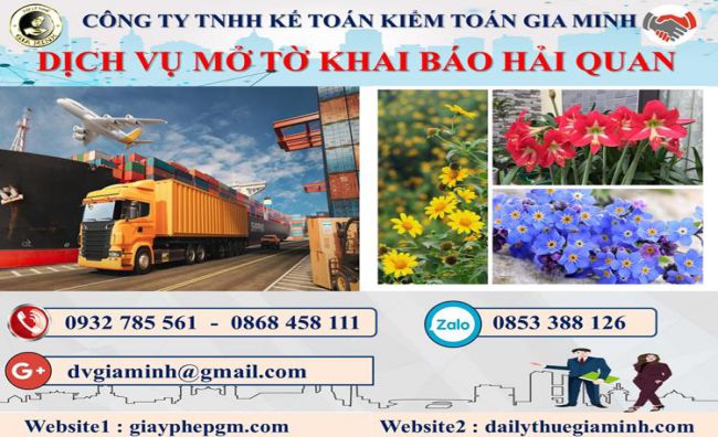 Thủ tục dịch vụ hải quan giá rẻ Quận 4