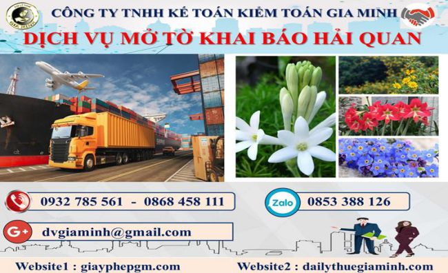 Thủ tục dịch vụ hải quan giá rẻ Quận Bình Tân