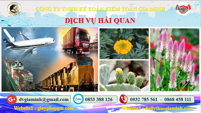 dịch vụ hải quan Hà Nội 4 Thủ tục dịch vụ hải quan