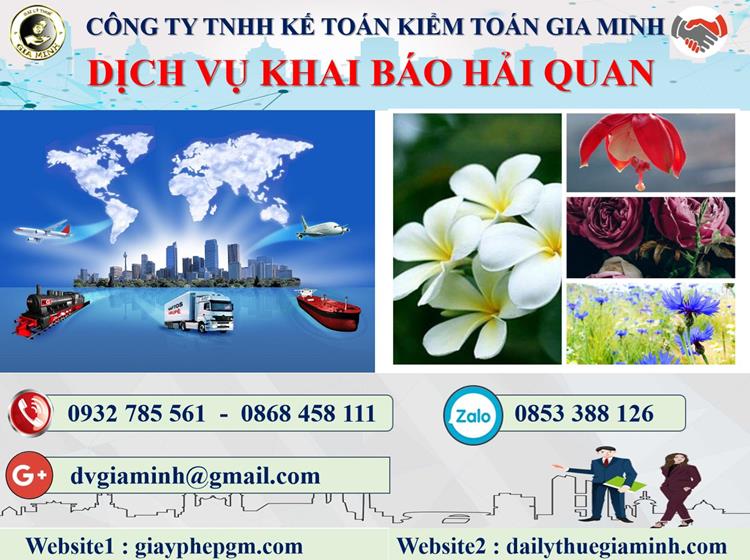 Thủ tục dịch vụ hải quan tại Hải Phòng