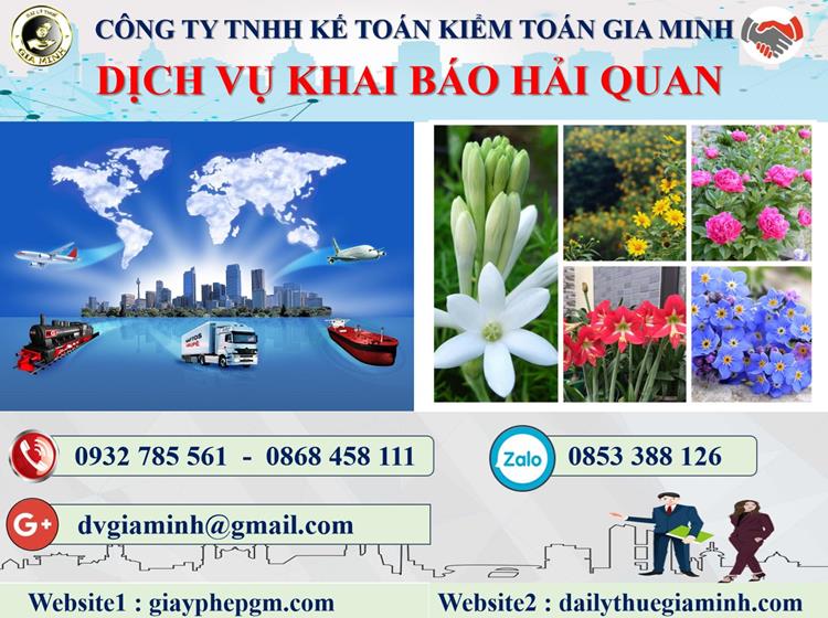 Dịch vụ hải quan Quận 11 3 Thủ tục dịch vụ hải quan tại Quận 11