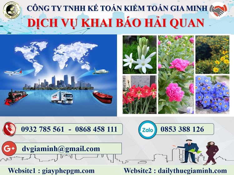 Dịch vụ hải quan Quảng Ngãi 4 Thủ tục dịch vụ hải quan tại Quảng Ngãi