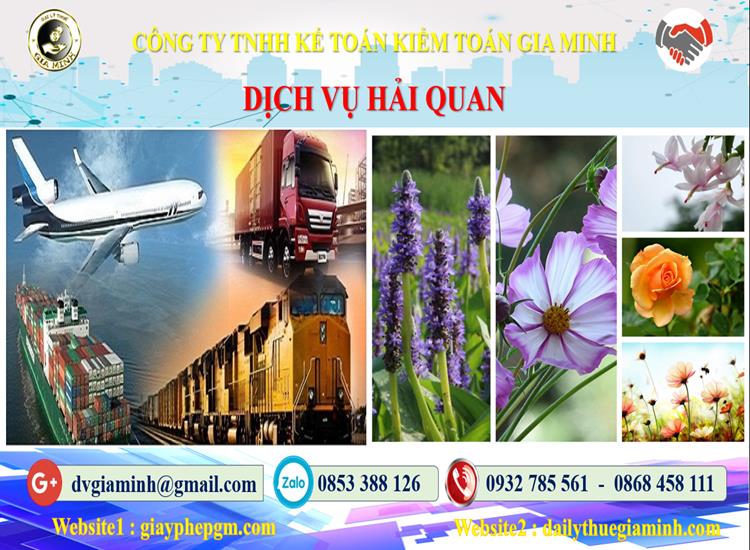 Thủ tục dịch vụ hải quan Bắc Ninh