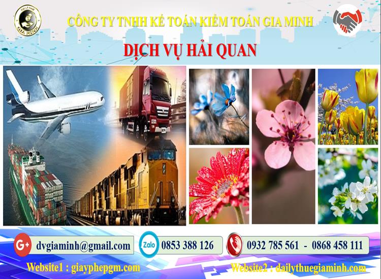 Thủ tục dịch vụ hải quan Đắk Lắk