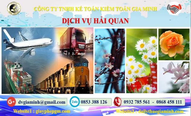 Dịch vụ hải quan uy tín Quận 8 4 Thủ tục dịch vụ hải quan Quận 8