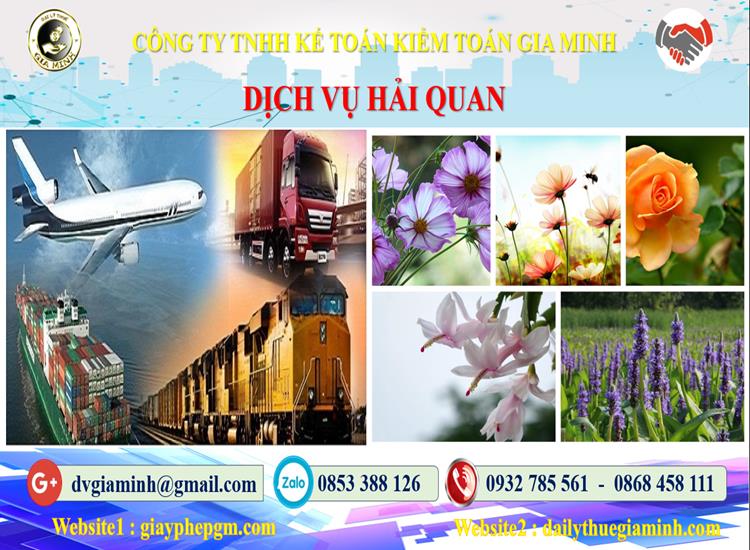 Dịch vụ hải quan uy tín Quận Đống Đa 4 Thủ tục dịch vụ hải quan Quận Đống Đa