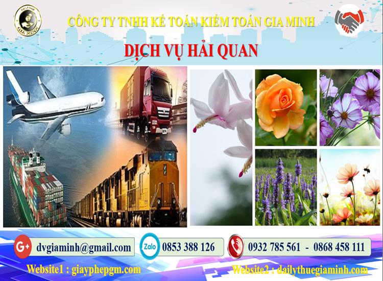 Dịch vụ hải quan uy tín Quận Hai Bà Trưng 4 Thủ tục dịch vụ hải quan Quận Hai Bà Trưng