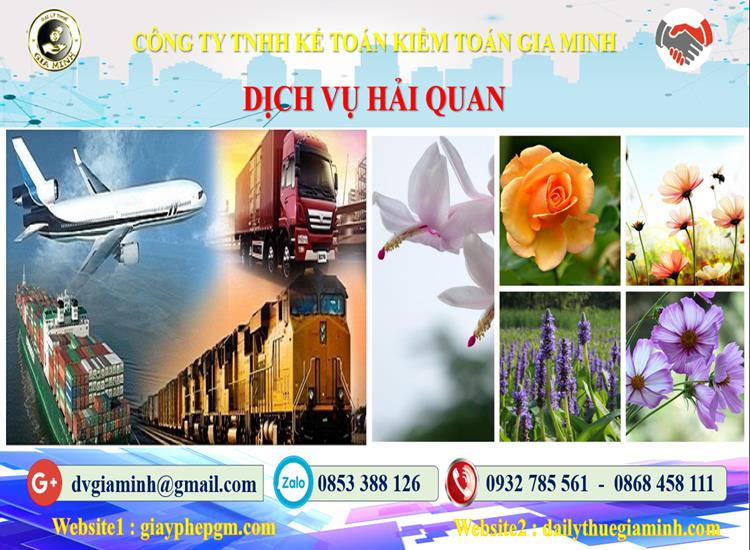 Dịch vụ hải quan uy tín Quận Hoàng Mai 4 Thủ tục dịch vụ hải quan Quận Hoàng Mai