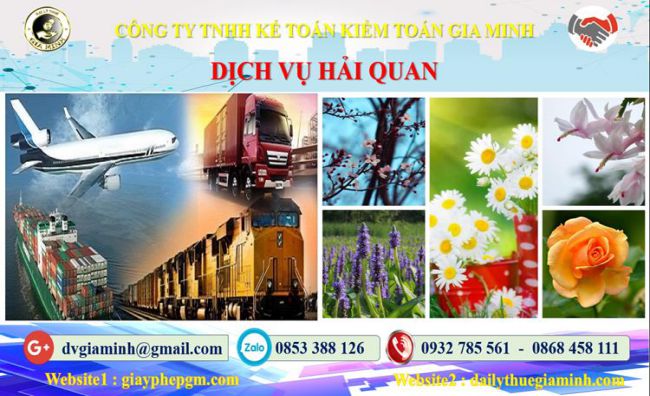Dịch vụ hải quan uy tín Thành Phố Hà Nội 4 Thủ tục dịch vụ hải quan Thành Phố Hà Nội