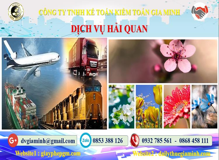 Dịch vụ hải quan uy tín Tuyên Quang 4 Thủ tục dịch vụ hải quan Tuyên Quang