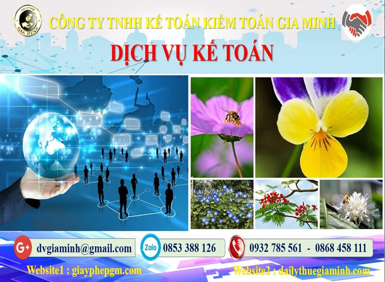 Dịch vụ kế toán tại Huyện An Lão tỉnh Hải Phòng 4 Thủ tục dịch vụ kế toán tại Huyện An Lão tỉnh Hải Phòng