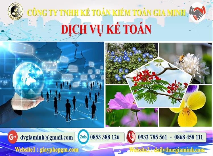 Thủ tục dịch vụ kế toán tại Huyện Đảo Bạch Long Vĩ tỉnh Hải Phòng