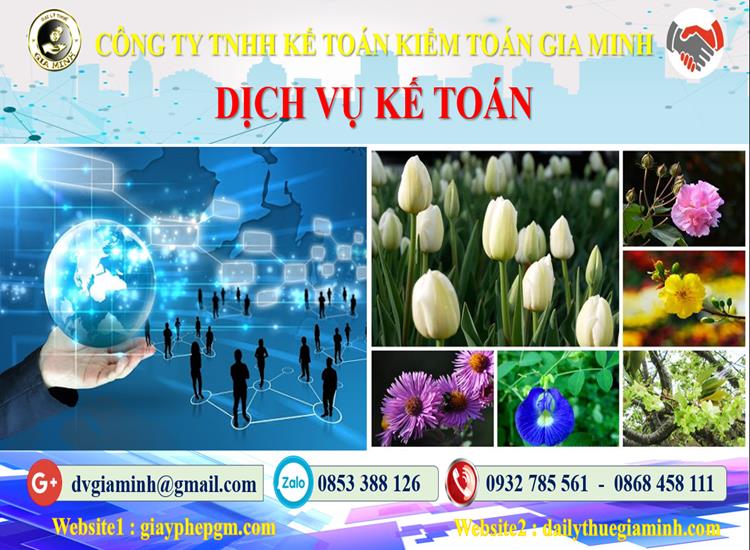 Thủ tục dịch vụ kế toán tại Huyện Đảo Cát Hải tỉnh Hải Phòng
