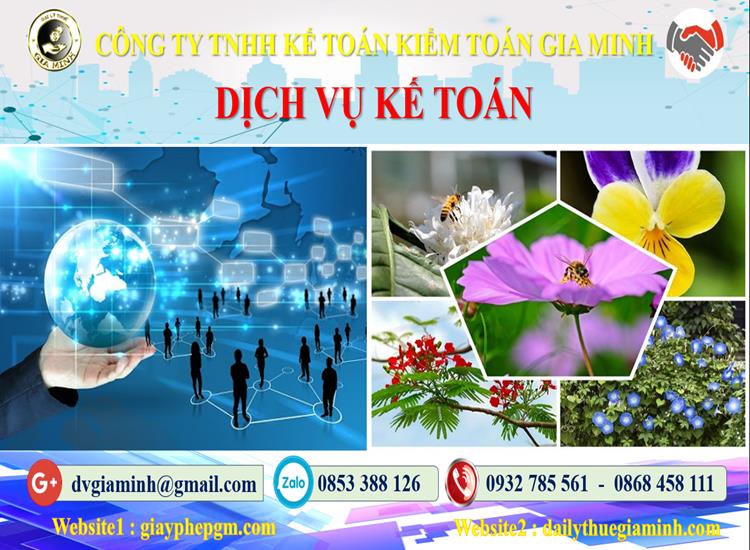Dịch vụ kế toán tại Huyện Kiến Thụy tỉnh Hải Phòng 4 Thủ tục dịch vụ kế toán tại Huyện Kiến Thụy tỉnh Hải Phòng