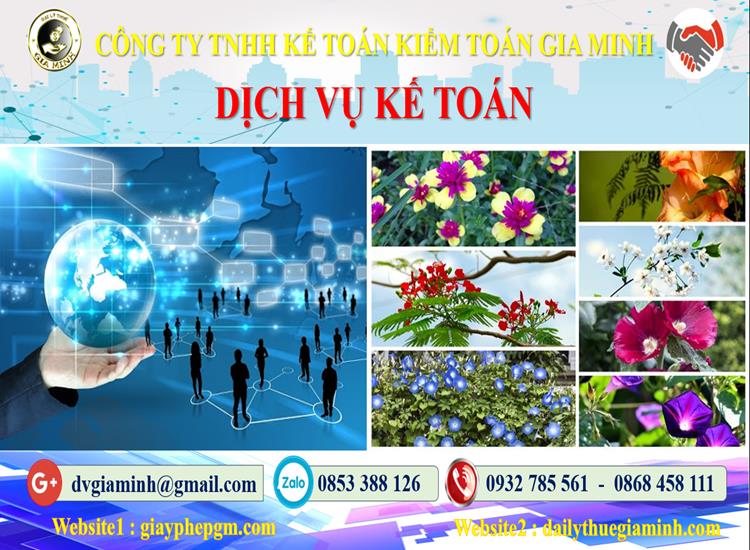 Dịch vụ kế toán tại Quận 2 tỉnh TPHCM 4 Thủ tục dịch vụ kế toán tại Quận 2 tỉnh TPHCM