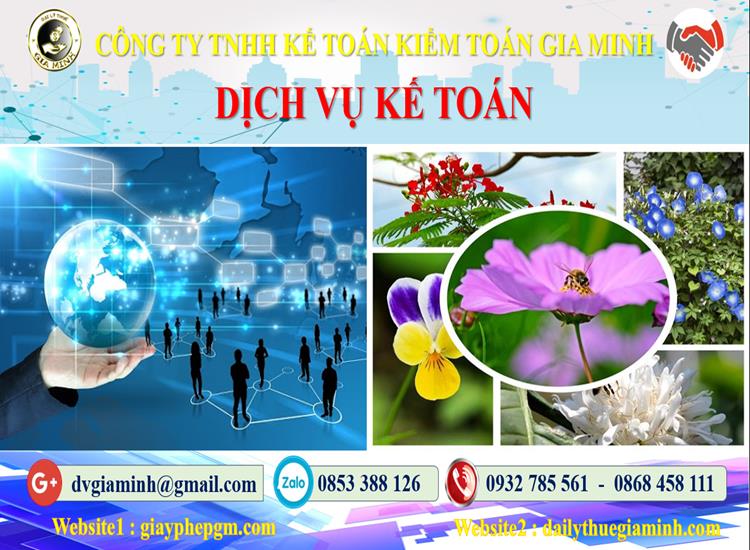 Dịch vụ kế toán tại Quận Cái Răng tỉnh Cần Thơ – Giải pháp quản lý tài chính tối ưu 7 Thủ tục dịch vụ kế toán tại Quận Cái Răng tỉnh Cần Thơ