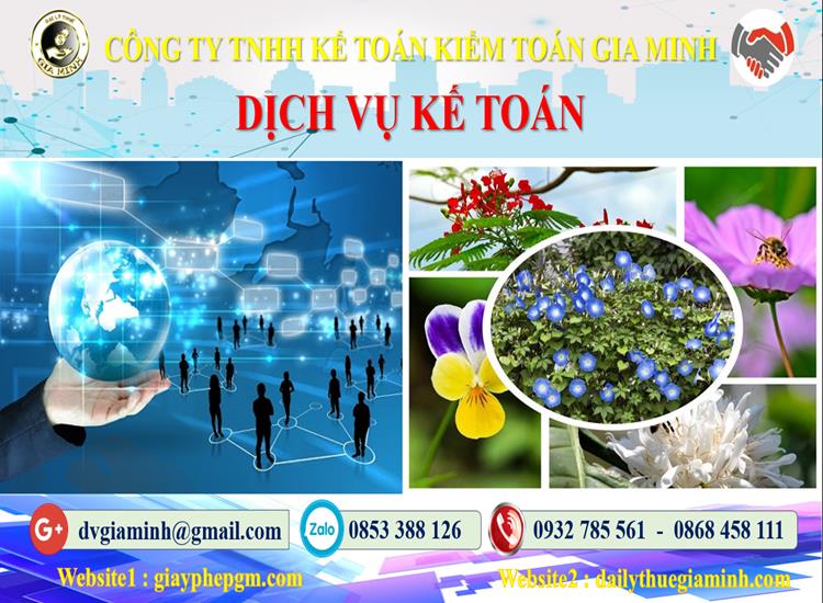 Dịch vụ kế toán tại Quận Hoàng Mai tỉnh Hà Nội 4 Thủ tục dịch vụ kế toán tại Quận Hoàng Mai tỉnh Hà Nội