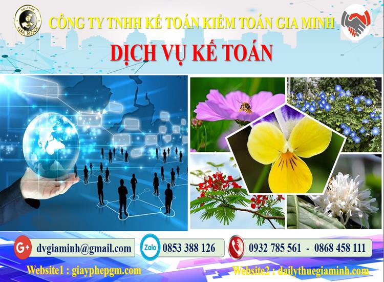 giayphepgm.com thu tuc dich vu ke toan tai quan le chuan tinh hai phong
