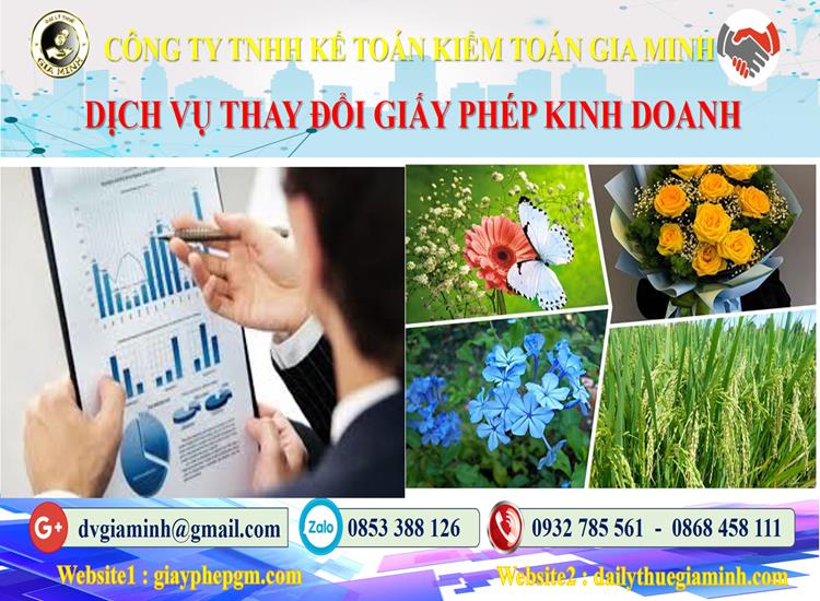 Dịch vụ thay đổi giấy phép kinh doanh tại Lai Châu 4 Thủ tục thay đổi giấy phép kinh doanh tại Lai Châu