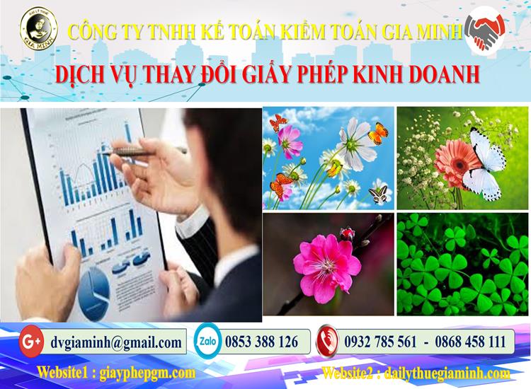 Thủ tục thay đổi giấy phép kinh doanh tại Thành Phố Hải Phòng 