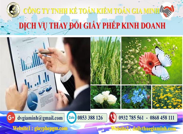 Dịch vụ thay đổi giấy phép kinh doanh tại Thành Phố Huế 4 Thủ tục thay đổi giấy phép kinh doanh tại Thành Phố Huế