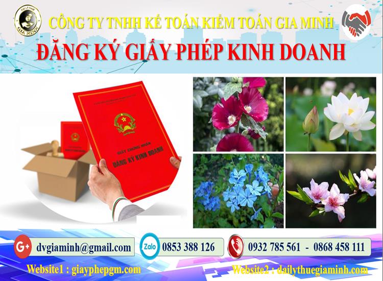 Dịch vụ xin giấy phép kinh doanh gas tại Huyện An Lão 4 Dịch vụ xin giấy phép kinh doanh gas tại Huyện An Lão