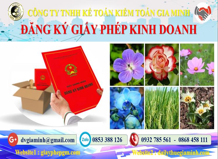 Dịch vụ xin giấy phép kinh doanh gas tại Huyện Hoà Vang
