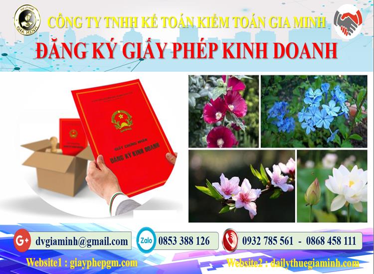 Dịch vụ xin giấy phép kinh doanh gas tại Huyện Thuỷ Nguyên 4 Dịch vụ xin giấy phép kinh doanh gas tại Huyện Thuỷ Nguyên