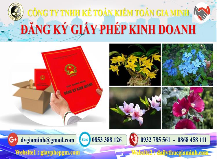 Dịch vụ xin giấy phép kinh doanh gas tại Huyện Tiên Lãng 4 Dịch vụ xin giấy phép kinh doanh gas tại Huyện Tiên Lãng