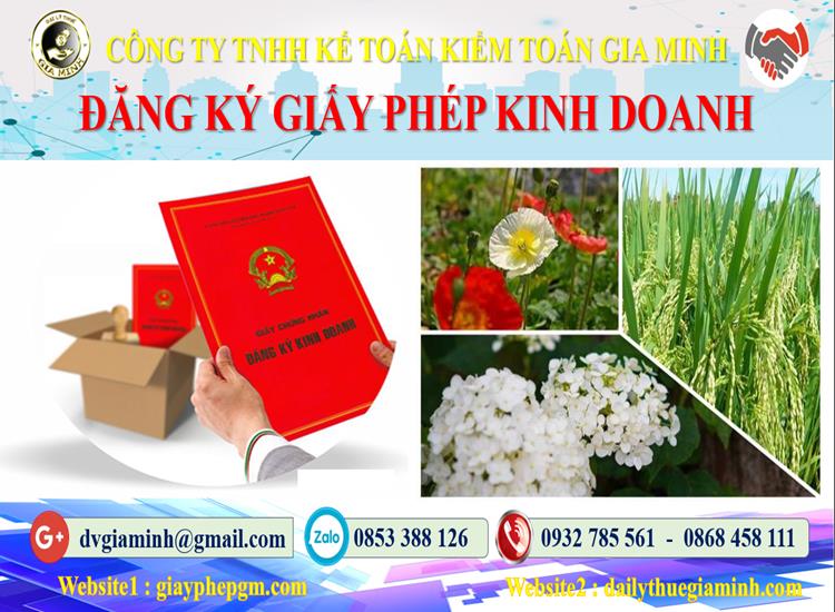 Dịch vụ xin giấy phép kinh doanh gas tại Quận Kiến An 4 Dịch vụ xin giấy phép kinh doanh gas tại Quận Kiến An