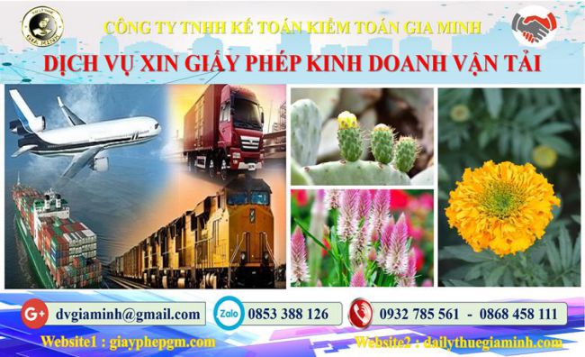 Dịch vụ xin giấy phép kinh doanh vận tải tại TPHCM 8 Thủ tục xin giấy phép kinh doanh vận tải tại TPHCM