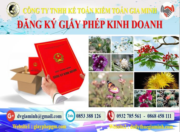 Hồ sơ đăng ký kinh doanh tại Huyện Hoài Đức cần những gì? 1 Hồ sơ đăng ký kinh doanh tại Huyện Hoài Đức cần những gì?