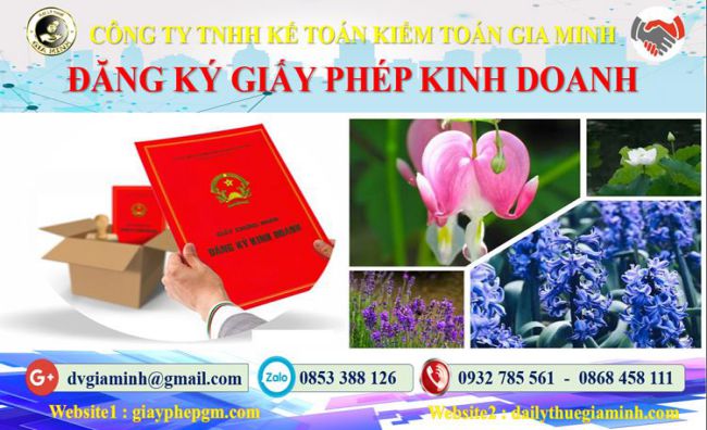Hồ sơ đăng ký kinh doanh tại Huyện Mỹ Đức cần những gì?