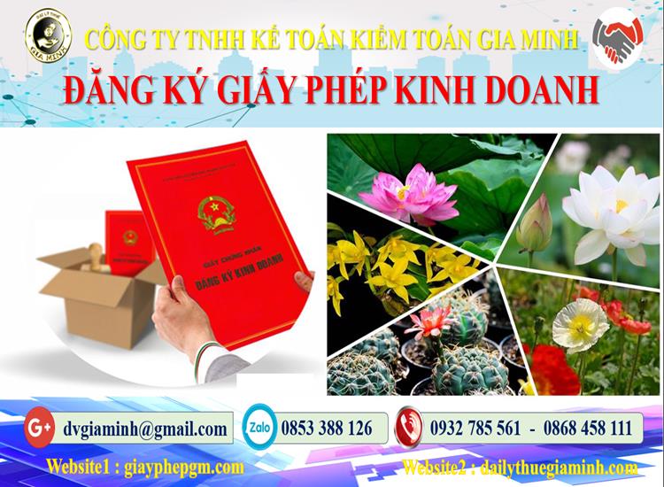 Hồ sơ đăng ký kinh doanh tại TP Cần Thơ cần những gì? 4 Hồ sơ đăng ký kinh doanh tại TP Cần Thơ cần những gì?