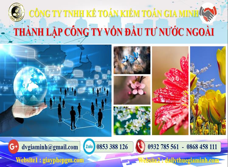 Thủ tục thành lập công ty 100% vốn đầu tư nước ngoài tại Huyện Thới Lai