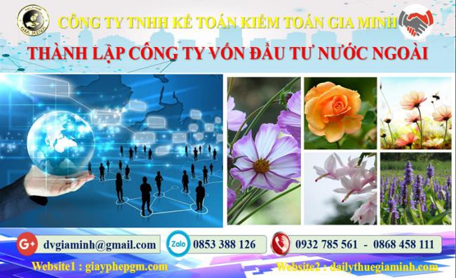 Thành lập công ty 100% vốn đầu tư nước ngoài tại Thành Phố Huế 4 Thủ tục TLCT 100% vốn đầu tư nước ngoài tại Thành Phố Huế