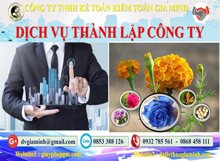 Thành lập công ty bảo vệ tại Gia Lai