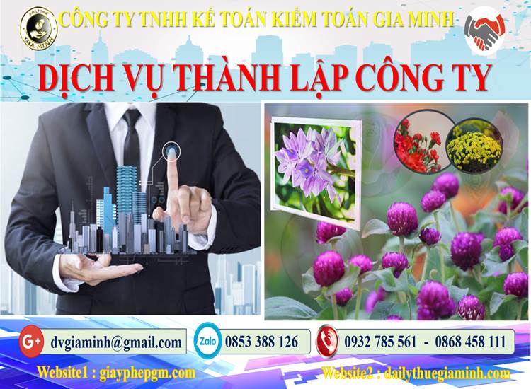 Thành lập công ty bảo vệ tại Huyện Cờ Đỏ