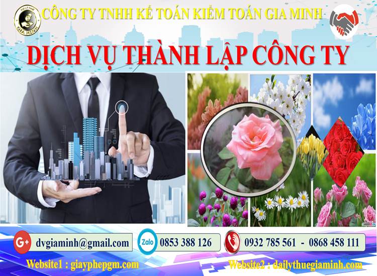 Thành lập công ty bảo vệ tại Huyện Mê Linh