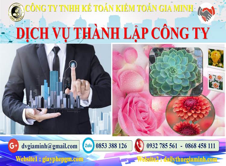 Thành lập công ty bảo vệ tại Huyện Vĩnh Thạnh