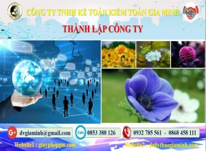 Thành lập công ty tại Thành Phố Hải Phòng trọn gói 4 Thủ tục thành lập doanh nghiệp tại Thành Phố Hải Phòng trọn gói