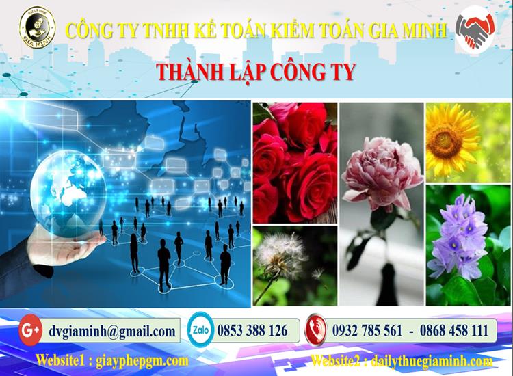 Thành lập công ty tại Vĩnh Long trọn gói 4 Thủ tục thành lập doanh nghiệp tại Vĩnh Long trọn gói