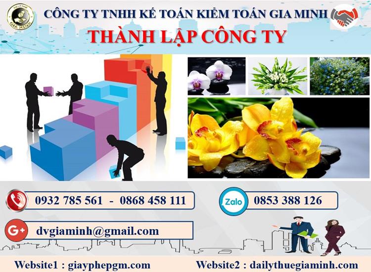 Thành lập công ty có vốn đầu tư nước ngoài tại Hải Phòng 4 Thủ tục TLCT vốn đầu tư nước ngoài tại Hải Phòng