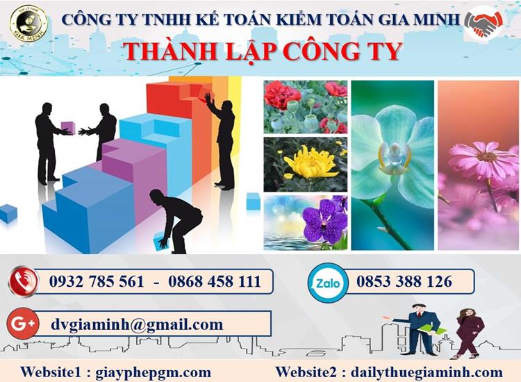 Thành lập công ty có vốn đầu tư nước ngoài tại Hòa Bình 4 Thủ tục TLCT vốn đầu tư nước ngoài tại Hòa Bình