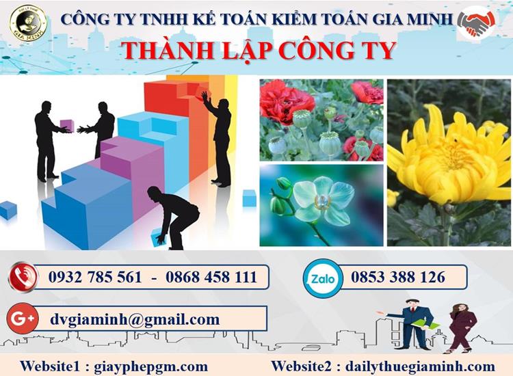 Thủ tục TLCT vốn đầu tư nước ngoài tại Huyện Củ Chi