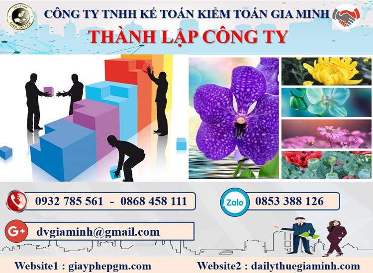 Thành lập công ty có vốn đầu tư nước ngoài tại Lai Châu 4 Thủ tục TLCT vốn đầu tư nước ngoài tại Lai Châu