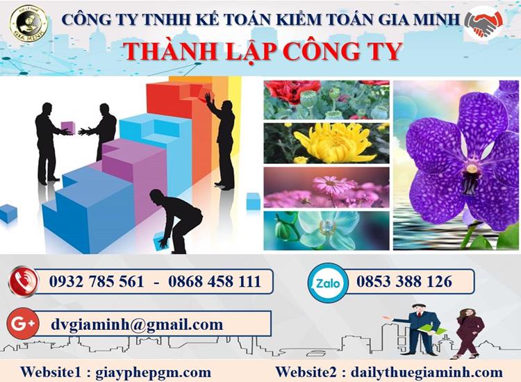 Thành lập công ty có vốn đầu tư nước ngoài tại Lào Cai 4 Thủ tục TLCT vốn đầu tư nước ngoài tại Lào Cai