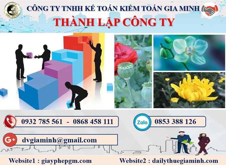 Thủ tục TLCT vốn đầu tư nước ngoài tại Quận 2