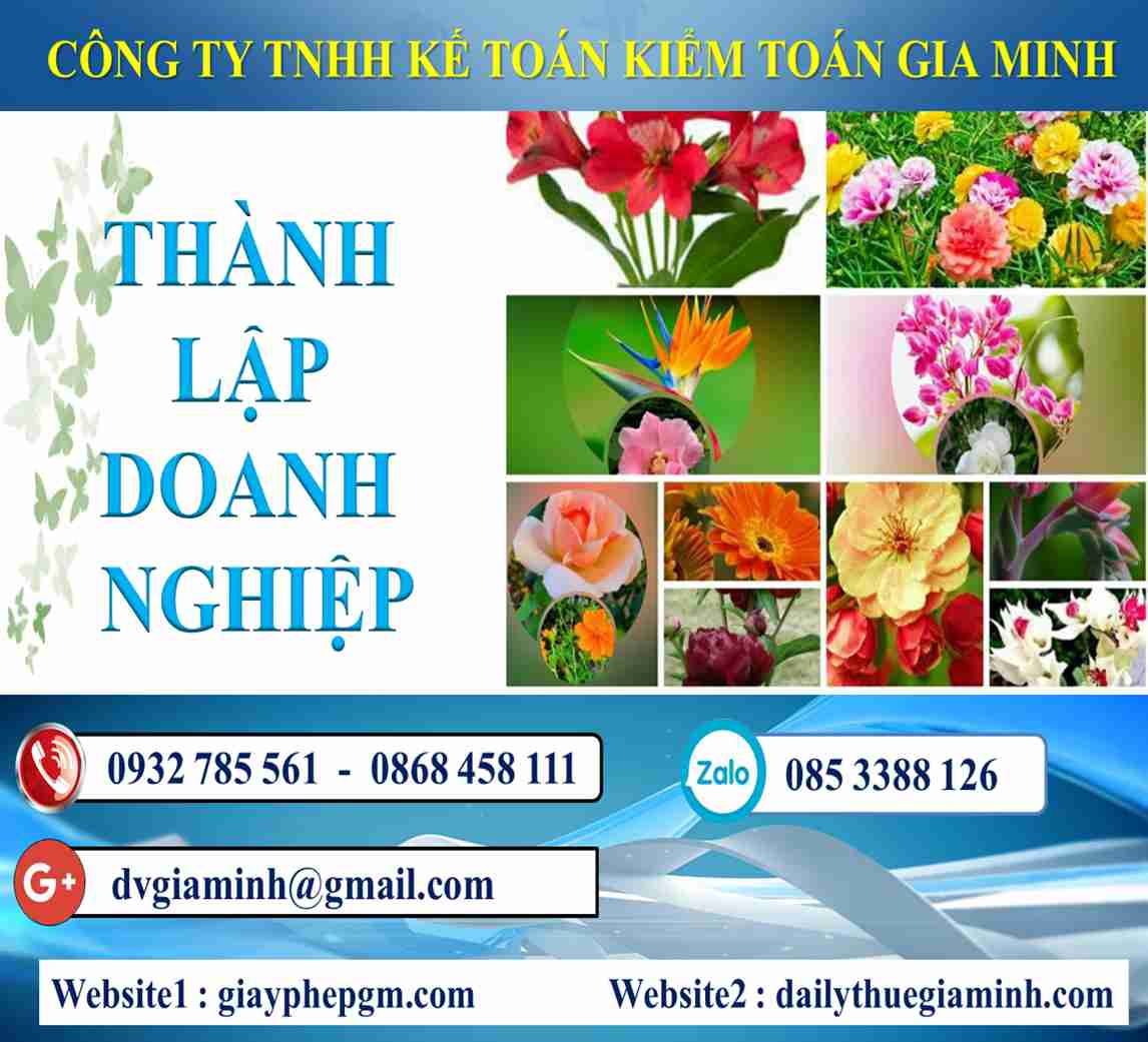 Thủ tục thành lập công ty tại Hải Phòng