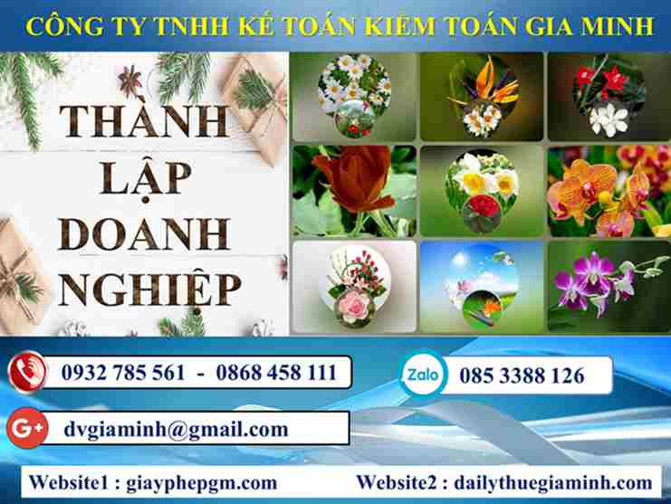 Thủ tục thành lập công ty tại Huyện đảo Bạch Long Vĩ